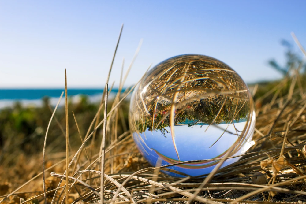 field background