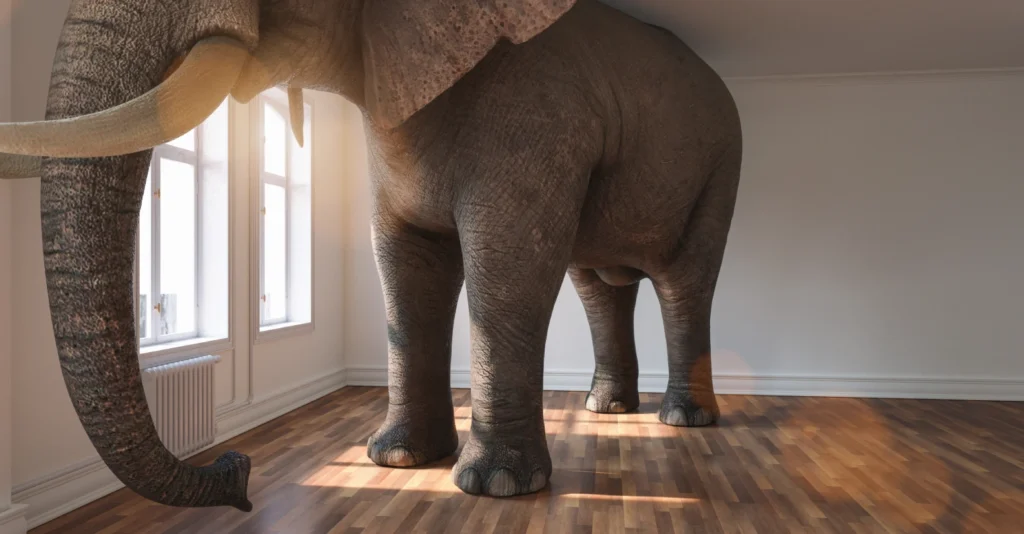 An elephant in the room